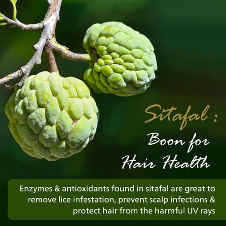 Pearldew Oil 25 Ml | Enriched With Sitafal | Mehandi | Kapoor & Nilgiri Oil (Pack Of 4)