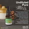 Soulflower Essential Oil Eucalyptus 15Ml