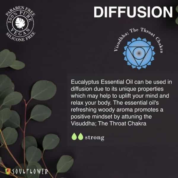 Soulflower Essential Oil Eucalyptus 15Ml