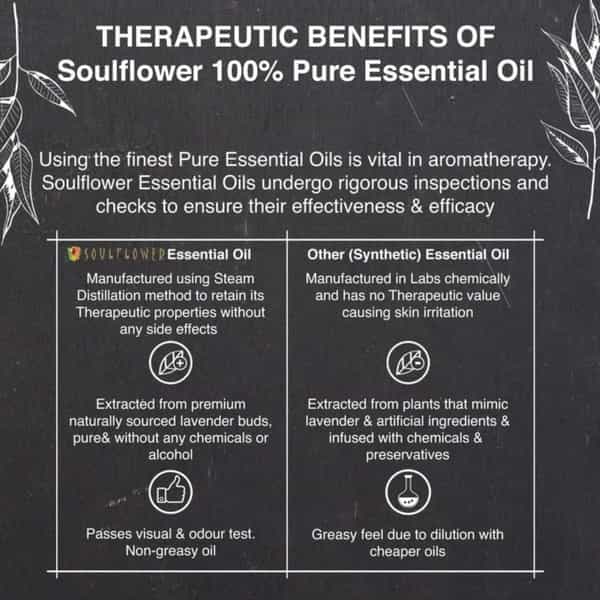 Soulflower Essential Oil Eucalyptus 15Ml