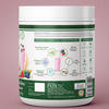 Inlife Plant Based Meal Replacement Shake | Plant Protein Powder (17.5 Protein) | 500G (Mixed Berry)