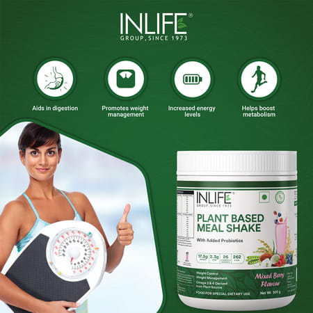 Inlife Plant Based Meal Replacement Shake | Plant Protein Powder (17.5 Protein) | 500g (Mixed Berry)