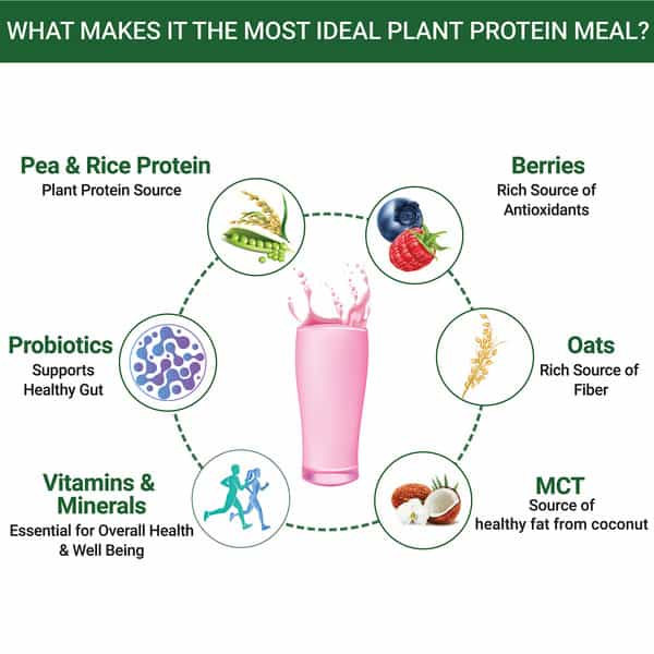 Inlife Plant Based Meal Replacement Shake | Plant Protein Powder (17.5 Protein) | 500G (Mixed Berry)