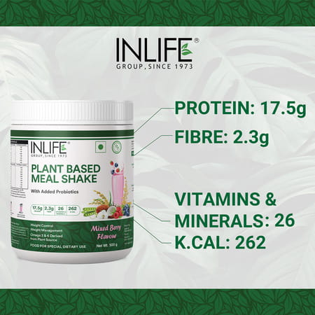 Inlife Plant Based Meal Replacement Shake | Plant Protein Powder (17.5 Protein) | 500g (Mixed Berry)