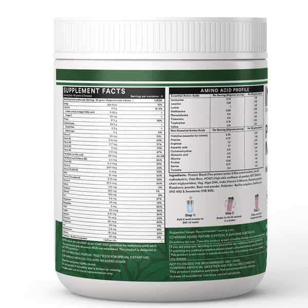 Inlife Plant Based Meal Replacement Shake | Plant Protein Powder (17.5 Protein) | 500G (Mixed Berry)