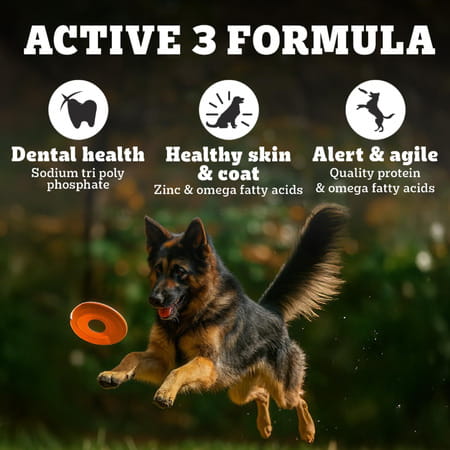 Pedigree Pro Adult Large Breed | Dry Dog Food (18 Months Onwards) | 3 Kg Pack | Chicken