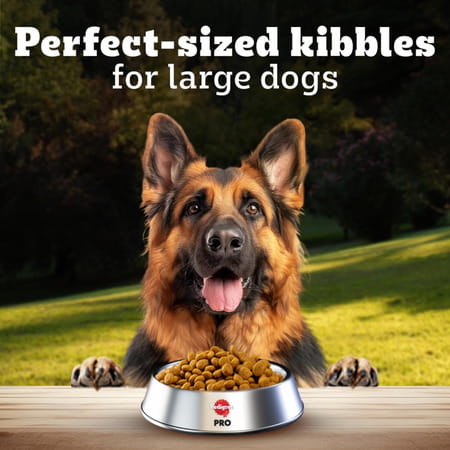 Pedigree Pro Adult Large Breed | Dry Dog Food (18 Months Onwards) | 3 Kg Pack | Chicken