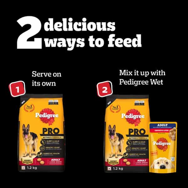 Pedigree Pro Adult Large Breed | Dry Dog Food (18 Months Onwards) | 3 Kg Pack | Chicken