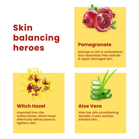 The Skin Story Moisturizing Pore Minimizing Toner With Witch Hazel Aloe Vera | All Skin Types 100ml