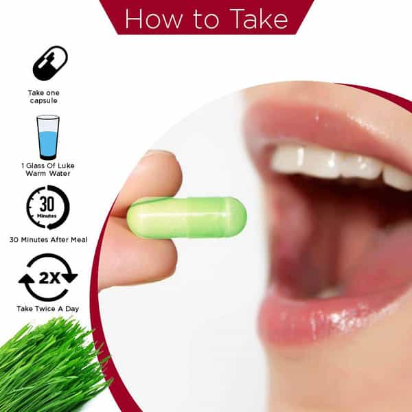 Healthmeds Pure & Natural Wheat Grass Capsules 1000Mg/Serving For Increase Energy 60 Caps