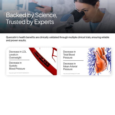 Decode Age Quercetin Supplement | Anti-Allergy | Supports Energy | Brain | 100mg | 30 Capsules | Veg