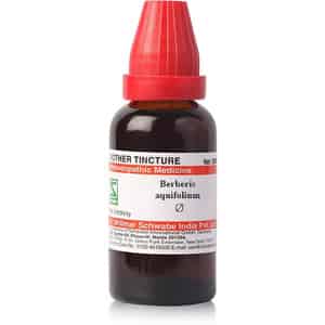 Dr. Willmar Schwabe India Berberis Aquifolium Mother Tincture Pack Of 2