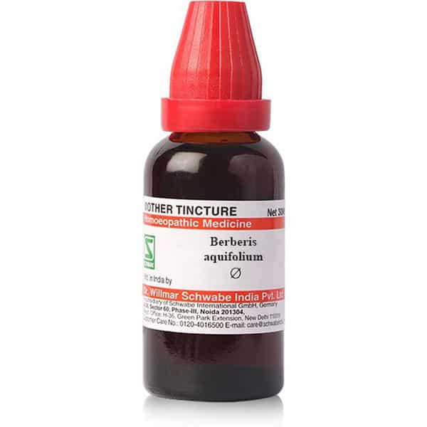 Dr. Willmar Schwabe India Berberis Aquifolium Mother Tincture Pack Of 2