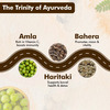 Baidyanath Ayurved Triphala Tablets 60S | Digestive Wellness