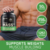 Optimum Nutrition (On) Serious Mass High Protein High Calorie Weight Gainer Powder - 1Kg Vanilla