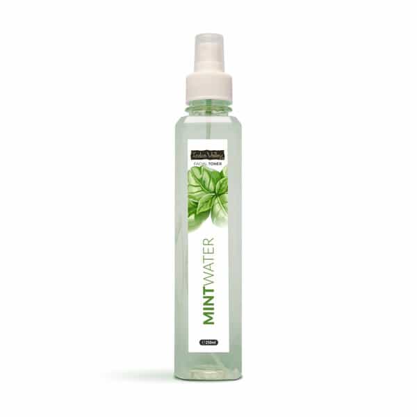 Indus Valley Natural Mint Water Facial Toner - Chemical Free - 250 Ml