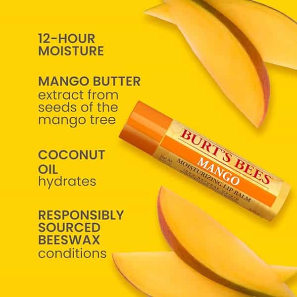 Burt's Bees Lip Balm | Superfruit | 4.25G | Pack Of 4