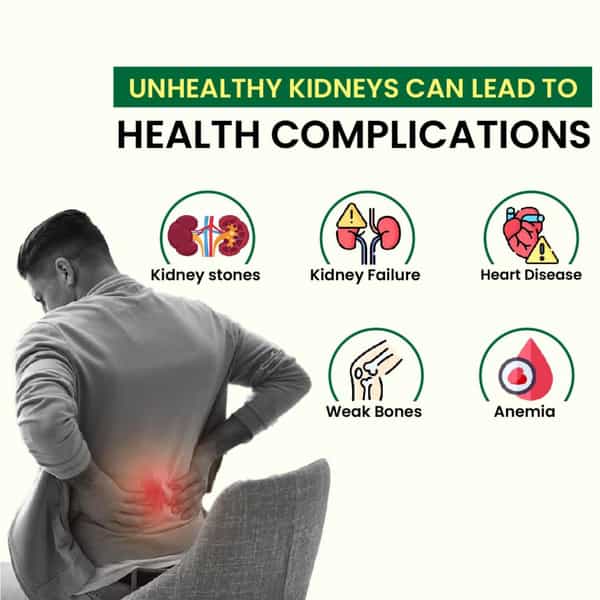 Cipzer Kidney Wellness Capsules Crafted For Kidney Stone Relief & Optimal Urinary Health 60 Capsules