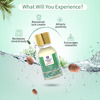 Ayouthveda Pine Essential Oil For Aromatherapy To Relax Mind & Revitalize Body & Spirit 15 Gm