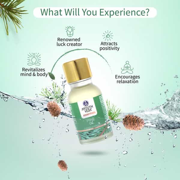 Ayouthveda Pine Essential Oil For Aromatherapy To Relax Mind & Revitalize Body & Spirit 15 Gm
