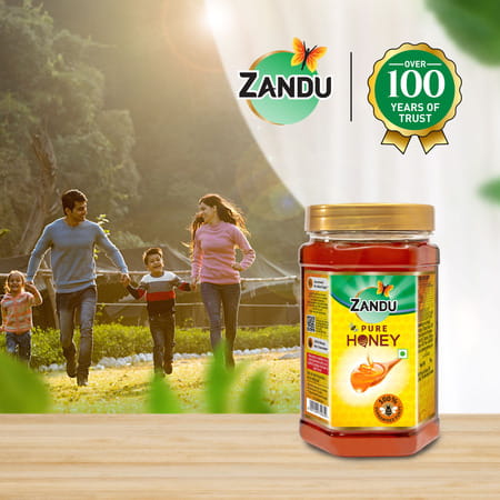 Zandu Pure Honey Health Food Bottle Of 1 Kg