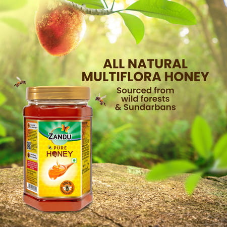 Zandu Pure Honey Health Food Bottle Of 1 Kg