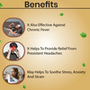 Cipzer Habb-E-Shifa100 Pills | Supports Wellness| Stress Relief & General Vitality