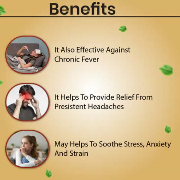 Cipzer Habb-E-Shifa100 Pills | Supports Wellness| Stress Relief & General Vitality