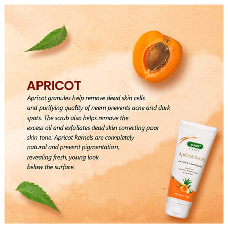 Baksons Apricot Aloevera With Neem And Cucumber Scrub 100 Gm