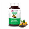 Bliss Welness Pure Curcumin Biopiperine Tablets | For Heart | Brain & Joint Health | 60 Tablets