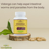 Vansattva Vidanga Capsule - 60n