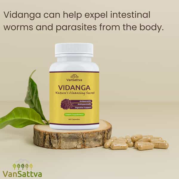 Vansattva Vidanga Capsule - 60N