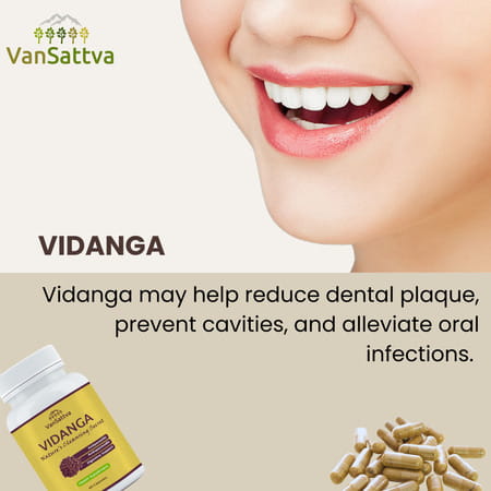 Vansattva Vidanga Capsule - 60n