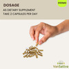 Vansattva Vidanga Capsule - 60n