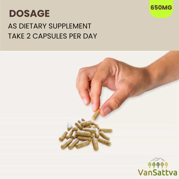 Vansattva Vidanga Capsule - 60N