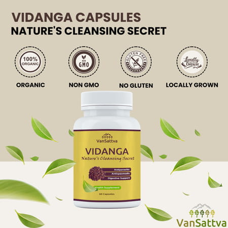 Vansattva Vidanga Capsule - 60n