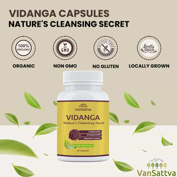 Vansattva Vidanga Capsule - 60N