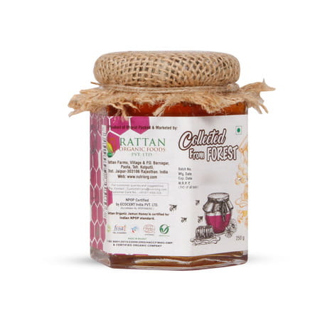 Nutriorg Certified Organic Honey With Jamun Flavor 250g
