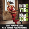 Genetic Nutrition Vegan Protein | Premium Plant Protein With Complete Amino Acid Profiletoffee Fudge