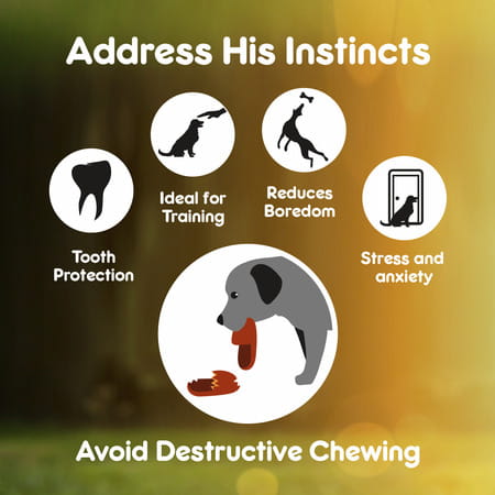 Purepet Chew Bones Dog Treats 6 Inches - Pack Of 4 Bones