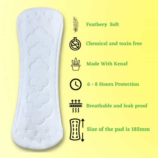 Bliss Natural Panty Liner Long (Pack Of 20)