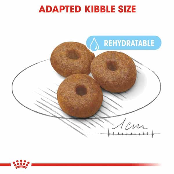 Royal Canin Maxi Starter | Mother & Babydog Food | 4 Kg | Dry Food