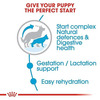 Royal Canin Maxi Starter | Mother & Babydog Food | 4 Kg | Dry Food