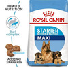 Royal Canin Maxi Starter | Mother & Babydog Food | 4 Kg | Dry Food