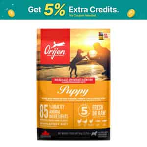 Orijen Puppy Dry Dog Food | Grain Free Dry Dog Food For Puppies | Fresh Or Raw Ingredients | 6 Kg