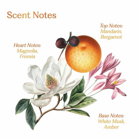 Sacred Grove Wild Flower Magnolia & Mandarin Hair Perfume For Women | Alcohol Free - 50Ml