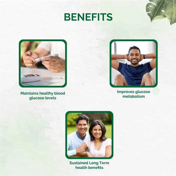 Dr. Vaidya's Diabex -30 Capsules - Pack Of 2