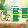 Zandu Tulsi Drops Immunity Boosting- 32ml (20ml + 12 Ml Free)