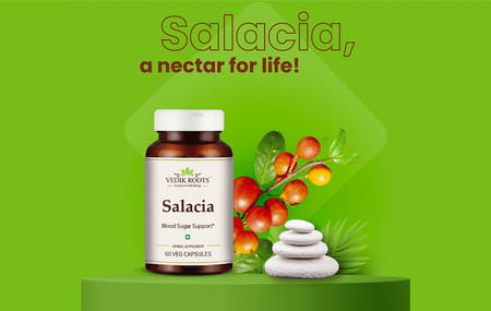Vedikroots Salacia 60 Capsules For Blood Sugar Support