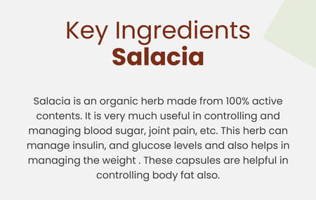 Vedikroots Salacia 60 Capsules For Blood Sugar Support
